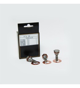 KIT 6 TORNILLOS PISTON INTERPUMP